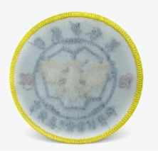 Non-Woven